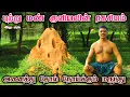 கரையான் புற்று மண் குளியல் | புற்று மண் ரகசியம் | Polic acid Medicine | VILLAGE KITCHEN FACTORY