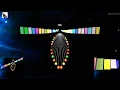 Dragonfly Style Polyrhythmic Pendulum Wave sound visualization