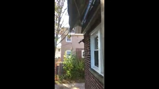 20 Lafayette Avenue in Edison NJ Walkthrough