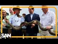 Annual Florida Python Challenge wraps up