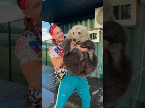 Добрый медвежонок спас от злой собаки😱😱😱😱❤️❤️❤️