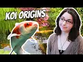 Koi Origins History of the Koi Fish