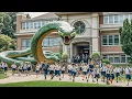 Download Lagu 【高光合集】变异巨蛇意外逃出，闯入学校袭击学生！【ENG SUB】|驚悚 灾难 |【电影派对】