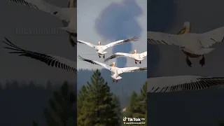 ٨ أغسطس ٢٠٢٥ 