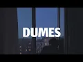 KOYO LAGI WINGI AWAK DEWE ISO NGOBROL TEKAN WENGI!!! DUMES - Wawes ft Guyon Waton (lyric)