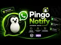 Pingo Notify - Notifications and Automations with WhatsApp for WordPress and WooCommerce
