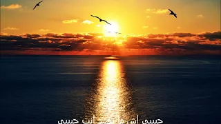 فؤاد سالم انا يا طير ضيعني نصيبي 