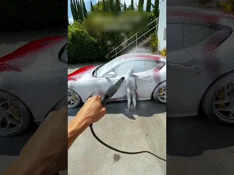 #bts