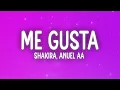 Shakira - Me Gusta (Letra/Lyrics) ft. Anuel AA