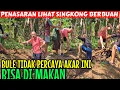 Download Lagu BULE INGIN LIHAT BAGAIMANA SINGKONG BERBUAH