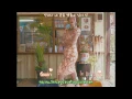 Kim Feel - Stay With Me (Karaoke, THAI Sub)