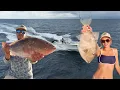 Big Bend Offshore Fishing Out of Steinhatchee Florida Gulf Trip Catch Clean Cook