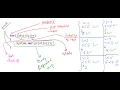 Lecture 38 Java Loop For Loop - How does it work
