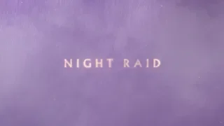 Nick Cave And The Bad Seeds Night Raid Official Lyric Video 