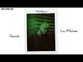 Townix - La Pitcher (Video Letras)