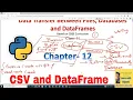 Data Transfer between DataFrame and CSV File csv file Dataframe Python Pandas