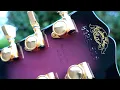 Download Lagu This Came Stock With... GOLD Strings? | 1984 Gibson Les Paul Studio Night Violet Custom Shop Edition