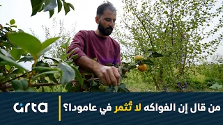                                     دندنها