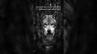 من لقى غيرك نسي خيرك      دندنها