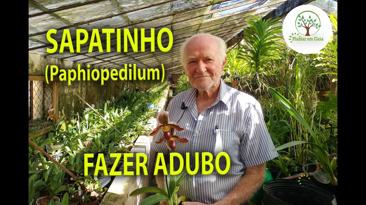 ADUBO PARA ORQUÍDEA SAPATINHO COM ERICO ROHN, PLANTAR EM CASA