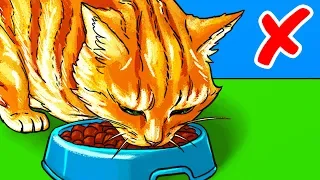 Mastering Pet Care: Handling, Training, and Veterinary Skills