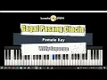 Download Lagu Gagal Pasang Cincin - Karaoke - Female Key - Willy Sopacua