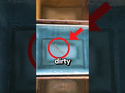 This Ice Factory Uses DIRTY Water‼️😱