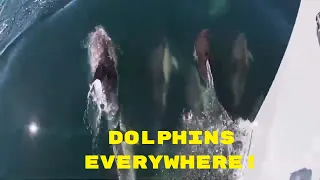 Coastal Ventures: Sailing from Porto to Figueira da Foz with an Epic Dolphin Encounter Episode 131