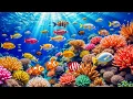Beautiful Relaxing Music for Stress Relief Sleep Underwater Tropical Fish Coral Reefs