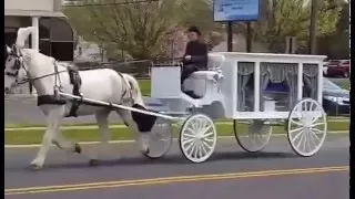 Ewing Funeral Hearse