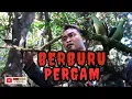 Download Lagu BERBURU PERGAM‼️baru datang langsg POIN TWO KIL MP3