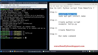 Run python script from Makefile