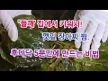 Download Lagu \
