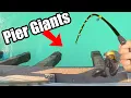 Absolute Giants Eat Shrimp At This Pier Saltwater Fishing Sebastian Inlet Pier