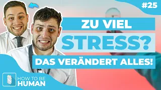 Download Vergiss alles, was du über Stress \ MP3