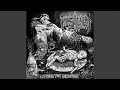 Download Lagu Too Many Devils and Drugs