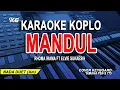 Download Lagu MANDUL KARAOKE KOPLO DANGDUT RHOMA IRAMA