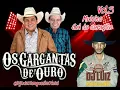 Download Lagu Os Gargantas De Ouro- Muleka/Gol do Coração (CD Volume 3)