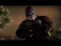 King Kong 1976 4K Scene Pack Part 1