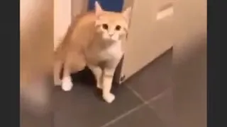 اضحك من قلبك يا ساتر يا رب 