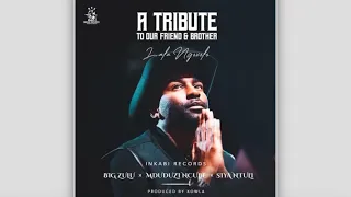 big zulu mduduzi ncube u0026 siya ntuli tribute to our friend u0026 brother lala ngoxolo official audio 