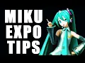 Everything You Need To Know About Miku Expo