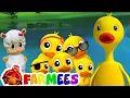 Download Lagu cinco patinhos rima | rimas para crianças | compilação canções infantis