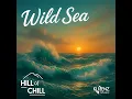 Download Lagu Hill of Chill - Wild Sea