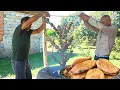 Download Lagu Koken in een Azerbeidzjaans bergdorp | Tandoorbrood \u0026 Gegrilde Leverkebab! 🔥