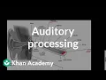 Auditory processing Processing the Environment MCAT Khan Academy