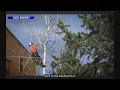 Xcel Energy activates safety setting on power lines to reduce fire danger