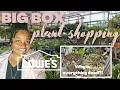 BIG BOX PLANT SHOPPING Lowes plant shopping