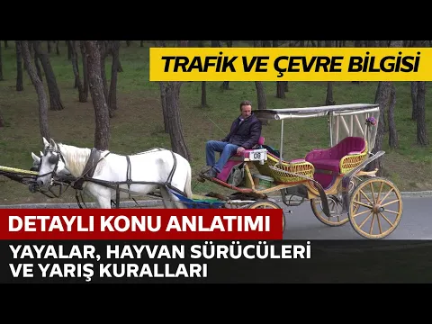 Trafik ve Çevre Bilgisi / Yayalar, Hayvan Sürücüleri ve Yarışlar Hakkında Kurallar
