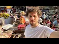 Why Delhi is the most chaotic city in the world INDIA